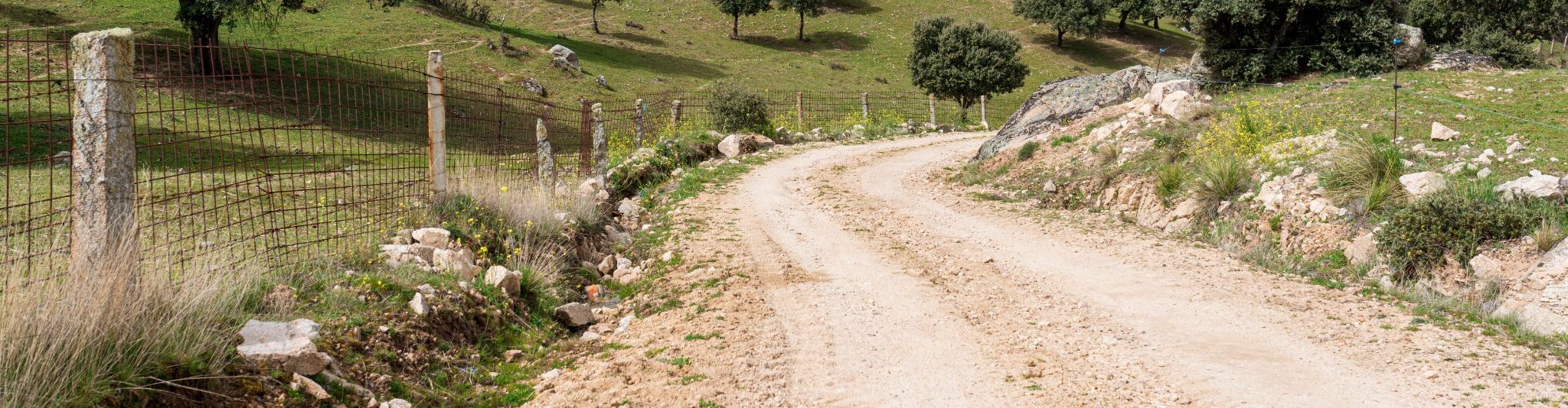 Fürbitten zum 1. Fastensonntag 2025